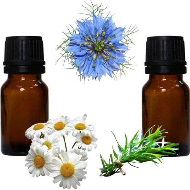Les huiles essentielles et végétale contre les allergies saisonnières, respiratoires ou cutanées