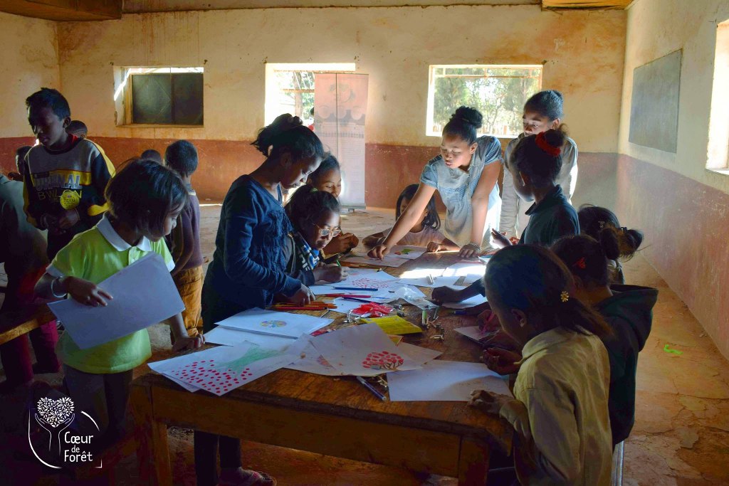 Dessin école production d'huile essentielle de Niaouli